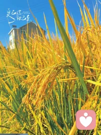 勁松談心理成長(zhǎng)：世上值得投資的東西，只有那么幾個(gè)。身體健康，關(guān)系幸福，增長(zhǎng)智慧，積累福報(bào)。其它，都是身外之物，沒多少價(jià)值。配圖