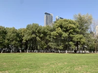 ??勁松談幸福成長：
懂得放手的人找到輕松，
懂得遺忘的人找到自在，
懂得安撫的人找到朋友。配圖