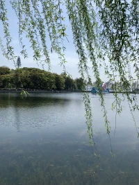 送你一句話:千萬不要在一件事情上糾結太久，因為到最后，你會發現，你不是跟事過不去 ，而是跟自己過不去。配圖