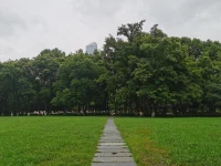 這個世界上，有人在裝弱，也有人在扮強

而一個人最舒服的狀態，是活在當下，做真實的自己

#勁松心理輔導配圖