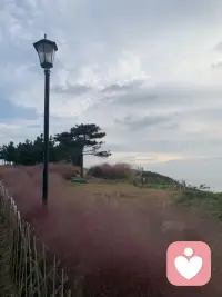 每個來到世間的生命
都有自己的使命

光明與黑暗成就
彼此的夢想
早安??配圖