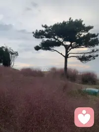 每個來到世間的生命
都有自己的使命

光明與黑暗成就
彼此的夢想
早安??配圖