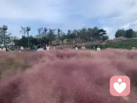 每個來到世間的生命
都有自己的使命

光明與黑暗成就
彼此的夢想
早安??配圖