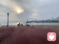 每個來到世間的生命
都有自己的使命

光明與黑暗成就
彼此的夢想
早安??配圖