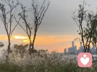 每個來到世間的生命
都有自己的使命

光明與黑暗成就
彼此的夢想
早安??配圖