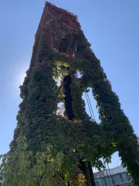 如果說成長沒有捷徑的話
那么做自己適合的可能就是捷徑
早安??配圖