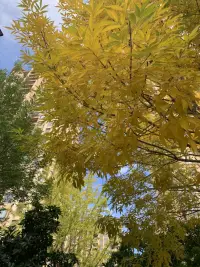 天公揮灑自如
藍(lán)天如此浪漫
天上人間
美不可言配圖