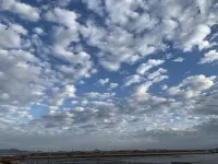 青島的云可以很低
也可以很高
低到垂在樓宇間
懸在山腰中
鋪在海面上
在草和樹的枝葉上
花朵上留下一粒一粒晶瑩的露珠
讓睡飽覺足的花朵在朝陽升起時綻放芬芳馥郁

那么多的渴望
那么多的夢想
長長地流過寬闊的海岸
流過藍天，流過星辰配圖