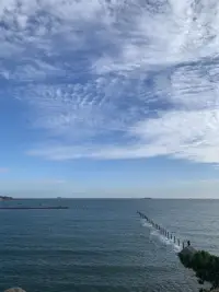 青島的云可以很低
也可以很高
低到垂在樓宇間
懸在山腰中
鋪在海面上
在草和樹的枝葉上
花朵上留下一粒一粒晶瑩的露珠
讓睡飽覺足的花朵在朝陽升起時綻放芬芳馥郁

那么多的渴望
那么多的夢想
長長地流過寬闊的海岸
流過藍天，流過星辰配圖