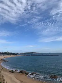 青島的云可以很低
也可以很高
低到垂在樓宇間
懸在山腰中
鋪在海面上
在草和樹的枝葉上
花朵上留下一粒一粒晶瑩的露珠
讓睡飽覺足的花朵在朝陽升起時綻放芬芳馥郁

那么多的渴望
那么多的夢想
長長地流過寬闊的海岸
流過藍天，流過星辰配圖