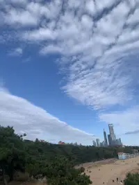 青島的云可以很低
也可以很高
低到垂在樓宇間
懸在山腰中
鋪在海面上
在草和樹的枝葉上
花朵上留下一粒一粒晶瑩的露珠
讓睡飽覺足的花朵在朝陽升起時綻放芬芳馥郁

那么多的渴望
那么多的夢想
長長地流過寬闊的海岸
流過藍天，流過星辰配圖