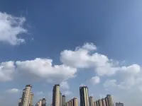 青島的云可以很低
也可以很高
低到垂在樓宇間
懸在山腰中
鋪在海面上
在草和樹的枝葉上
花朵上留下一粒一粒晶瑩的露珠
讓睡飽覺足的花朵在朝陽升起時綻放芬芳馥郁

那么多的渴望
那么多的夢想
長長地流過寬闊的海岸
流過藍天，流過星辰配圖