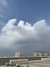 青島的云可以很低
也可以很高
低到垂在樓宇間
懸在山腰中
鋪在海面上
在草和樹的枝葉上
花朵上留下一粒一粒晶瑩的露珠
讓睡飽覺足的花朵在朝陽升起時綻放芬芳馥郁

那么多的渴望
那么多的夢想
長長地流過寬闊的海岸
流過藍天，流過星辰配圖