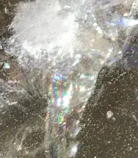 今天海風肆意的吹著
天空晴朗，很藍很藍
迎春花的枝條上
有一粒粒的芽包
像極了裹著棉被的小寶寶，期待春天的到來

湖面結了冰
冰面上留下了昨夜
風最后的痕跡
一簇簇落葉??
被風追趕的樣子
持久的留在冰面上

我用卵石敲擊冰面
發出叮咚叮咚的回聲
像“天籟”似乎來自于
大自然的悅愛
或是親昵或是純樸

再用力一點敲下去
瞬間爆出冰花
璀璨美麗
沒有任何一個藝術家
能像大自然一樣奢侈地使用色彩吧配圖