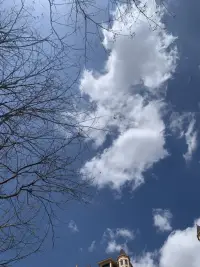 春天是彩色的
到處散發著芳香
云也是可愛的
草叢中的野菊花
自信歡愉配圖