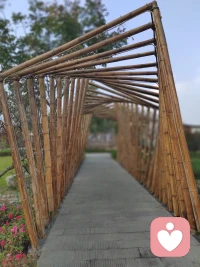 认知和摄影一样。当我们看清时确定了一个焦距，当你移动时它又会模糊，于是我们必须重新设定一个焦距。如此反复，事物就会在我们不断认知中越来越清晰呈现。问题是，当它模糊的时候，你是调整焦距还是移回原地？配图