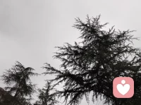 降温了，地面的热能开始急剧向地表下聚集，酝酿来年的春暖花开。你在他乡还好吗？配图