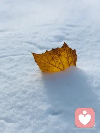 南國的冬天沒有積雪，好希望來場大雪凈化污濁的空氣，洗滌大地的塵埃。配圖