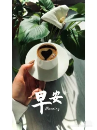 早安！

病態(tài)的家庭環(huán)境是來(lái)訪的致病原因，希望致病因素轉(zhuǎn)化為治療助力比較難。遇到家庭阻礙咨詢或者治療時(shí)，咨詢師只能接受自身的局限性，幫助挖掘其他資源，比如免費(fèi)咨詢、尋找公益互助團(tuán)體的支持等。來(lái)訪者能不能過(guò)關(guān)最大程度還是來(lái)至于自身內(nèi)在的動(dòng)力和求助意愿。配圖