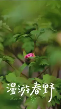 家是一個人的情感港灣，不是一個一味講理的地方。不管你在外面任什么職，做什么工作，在家都是平等的，都是一樣的普通，一樣的偉大，或是妻子或是丈夫，或是父親或是母親。沒有高低，甚至沒有對錯，只有愛，怎樣表達、感受愛。配圖