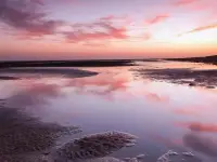 關系大于教育，只有和孩子建立了信任而親密的關系，孩子才可能接受你這個人，才有可能接受您說的話，您對孩子的教育才會起效。配圖