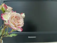 不惑于年齡，?不困于身份，獨立自由，有愛有夢，一切美皆好?！配圖