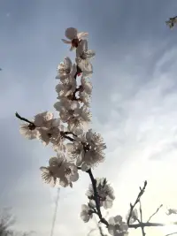 出去走走，感受無限的春光配圖