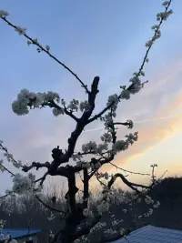 每天都發現一點不同，生活也顯得異常美配圖