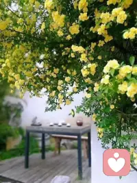 家是最溫暖的港灣，可能也會成為最傷心的地方。父母可以給你行動的巨大動力，也可能是你前進的最大阻力。配圖