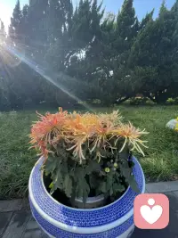 情緒是相互傳染的，人是相互影響和吸引的，你吸引什么樣的人也是由自己的特質吸引的配圖