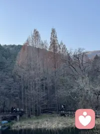 一年四季初夏秋冬各有各的美，人也一样配图