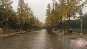 怎样的父母更容易让孩子患上抑郁症？