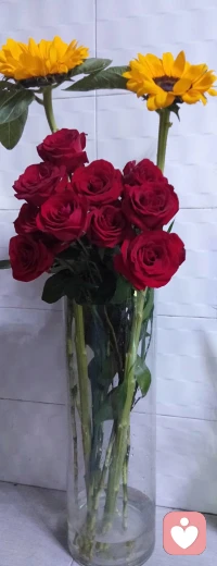 未被生活濕透,不足以談歲月靜好。配圖