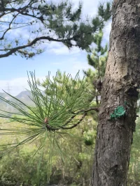 闲散弄晴
了误深情
我是它的过客
它是我的风景
