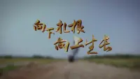 【眼里有星辰大海，心中有繁花似錦】
和歲月的每一場告別都應該熱烈又體面，好的壞的，都扔給昨天，然后一路向前。
余生活成一個禮物，出現(xiàn)在別人的生命里
向日葵說，只要你朝著陽光努力向上，生活便會因此變得單純而美好。美好的一天開始，愿你能像向日葵一樣，迎著陽光向上。配圖