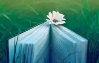 【世界是自己的，與他人無關(guān)】
很喜歡高曉松講過的一句話，一個(gè)人可能不知道自己喜歡什么，但肯定知道正在做的事情自己到底喜歡不喜歡。
外界很多聲音都在告訴我們，該做這樣，該做那樣，可是人這一生，究竟該做什么，只有我們自己知道。配圖