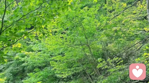 抗压能力差的成因