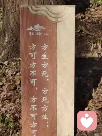 外在有激情，內在有價值。配圖