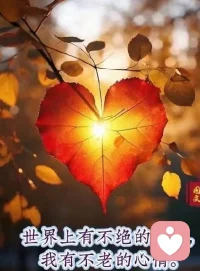 外在的一切都是你內在的投射
如果在你生活周遭有太多你討厭或不愛的人事物，
那是因為你一直在排斥，所以他們才會一再出現，
你必須學會生活的藝術
——將它們蛻變成愛。配圖