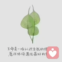 一切记忆都会寻求表达，
哪怕是被深埋被压抑的。
爱过的会寻求再爱，
恨过的会寻求再恨，
被虐待过的会寻求再被虐待。
如果实在被压抑得太深，人体就会以疾病的方式来表达。
心因性疾病，如胃溃疡、神经性皮炎、口腔溃疡，还有一些没有原因的疼痛，都有可能是心理因素导致的。配图