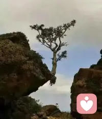 珍惜你的低谷，你会看到很多真相；
时间能渡的，都是愿意自渡的人。
没有谁的一生，是一帆风顺的；
低谷期的苦难，就是为了积攒力量。
哪怕是裂缝里透出的光，也要牢牢抓住；
然后，生出向死而生的勇气。
身处低谷的时候，往往就是变好的开始；
只要你愿意往前走，怎么走都是往上。配图