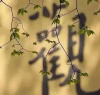 “不知道你有沒有喝過剛汲上來的井水。或許你也知道，井水的溫度是恒定的，常年在18度左右。這是一個客觀的數字，無論誰測都一樣。但是夏天喝到的井水感覺涼爽，而冬天引用時就感覺溫潤。” 是因為環境改變了，感受就改變了，這是事實，所以說我們生活在自己的主觀世界，每天帶著有色眼鏡去看世界。世界這時對我們來說是復雜的，當摘掉眼鏡，呈現出世界的本來面目，世界是簡單的。復雜的并不是世界本身，而是看世界的心。配圖