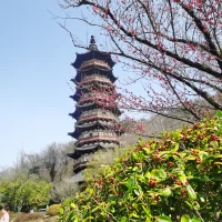 你現在因走捷徑所節省的所有路程，不久的將來，都是要靠數倍乃至數十倍的彎路來彌補。配圖