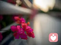 《內在動機》中說：做出改變是一項只能由個人為自己做出的決定。這意味著要探索想要改變的原因，同時關注從這種行為中獲得的好處。所以，增強動力的一個方法，就是不斷的思考這件事的好處。不斷的思考這件事的好處，你做這件事的動力就會越來越強。配圖