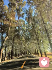 “完美主義”背后的本質(zhì)，并不是要求高，而是拒絕自己做這件事?lián)碛羞@樣?xùn)|西。
萬事要等到萬無一失才肯做，其實(shí)就是內(nèi)心根本不想做這件事。配圖