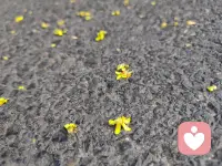 并不是堅強的人就會獨立，而是被愛過的人才會獨立。配圖