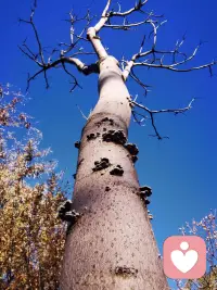 減少“索取感”的方式很簡單，問一下自己：別人為你做的所有的一切，你能不能為自己做？配圖