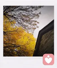 對父母失望，同時(shí)也對自己失望的人，可能會(huì)對自己的孩子非常嚴(yán)苛，以傳遞自己內(nèi)心不曾被覺察的委屈與怨恨。???配圖