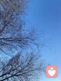 我們很害怕感受自己的感受。那些壓抑的恐懼，仿佛洪水猛獸隨時會將我們吞沒。
可是感受不會消失，它只是在等一些機去觸動我們的內在。配圖