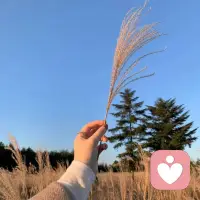 普普通通，平平凡凡，不完美，不优秀，也能幸福，带着缺点也可以好好地生活。​​​配图